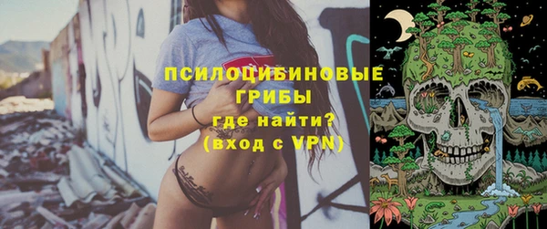 винт Армянск