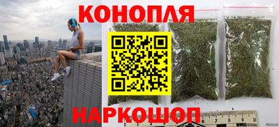 мяу мяу мука Гусев