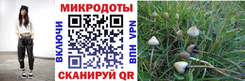 Галлюциногенные грибы GOLDEN TEACHER Мытищи