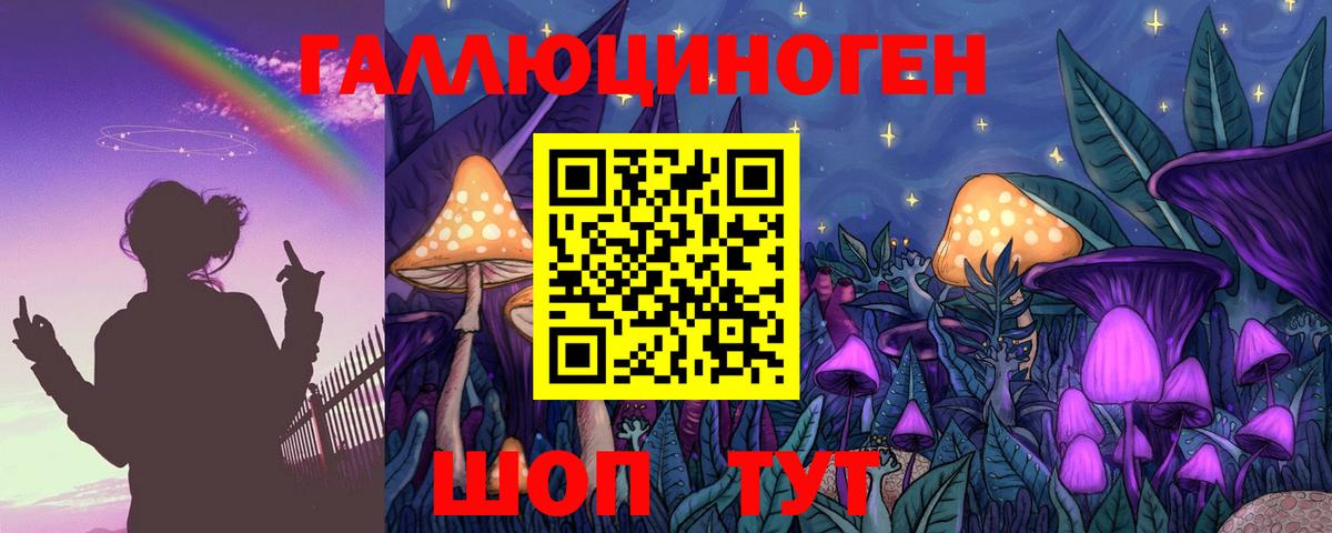 Мытищи  Псилоцибиновые грибы Psilocybine cubensis  Вход с VPN 